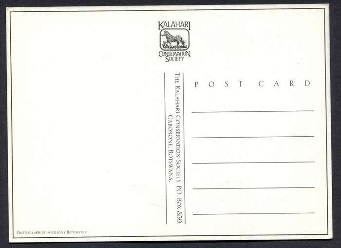 Botswana - Post Card