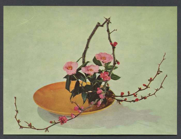 Post Card