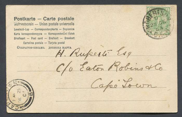 Cape of Good Hope - Post Card