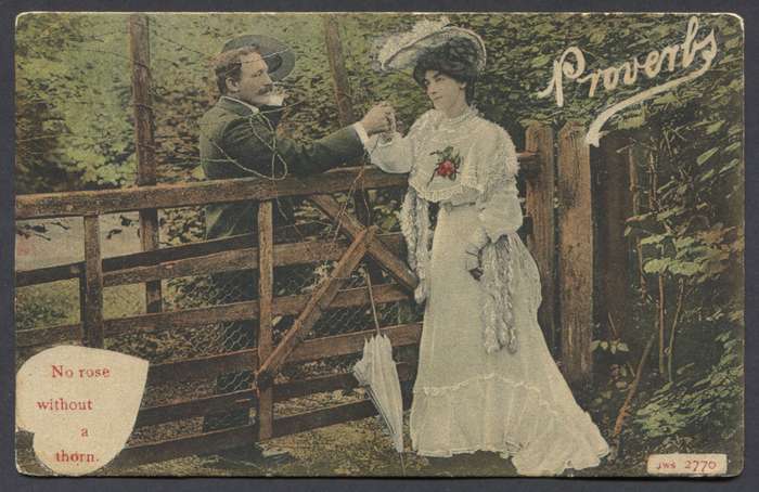 Cape of Good Hope - Post Card