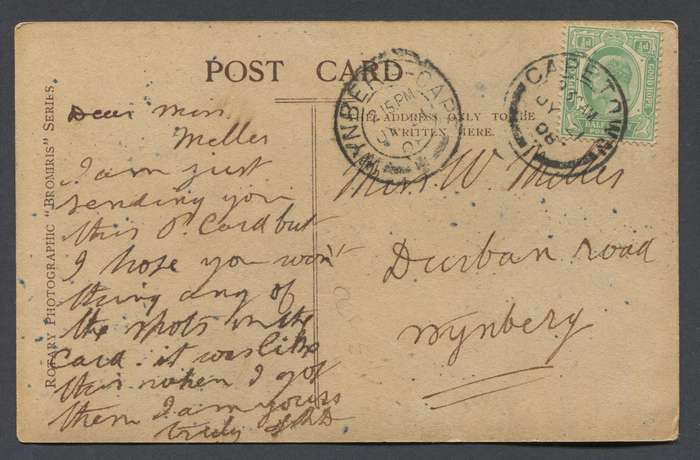 Cape of Good Hope - Post Card