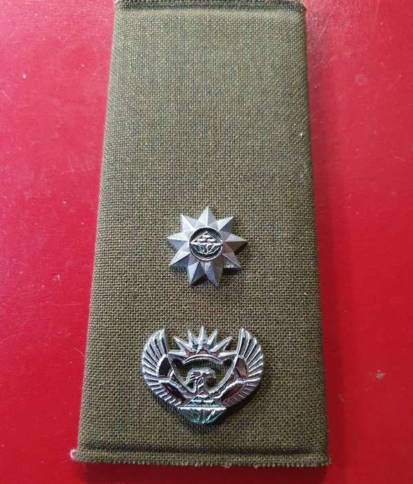 1 X LT. COL.  RANK SLIDE