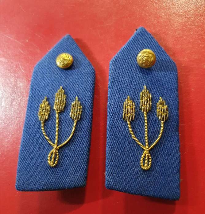 2X 1980s BRIGADIER GORGETS.
