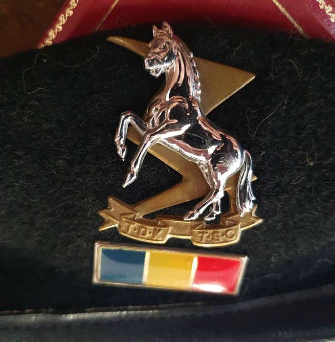 SADF- TDK CORPS BERET WITH BADGE AND BALKIE. 56cm.