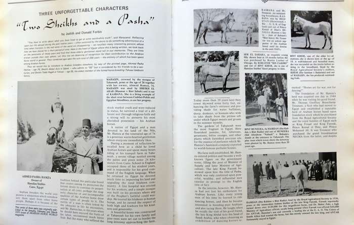 Authentic Arabian Bloodstock: A Guide, Historical Articles, and Racing Records  by Judith Forbes