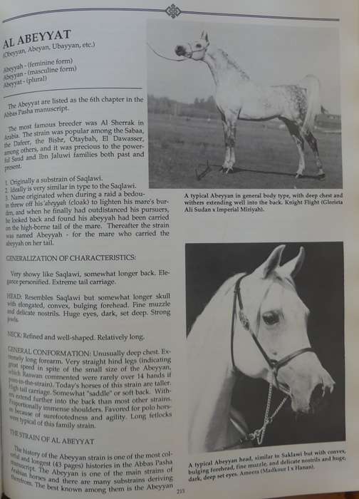 Authentic Arabian Bloodstock: A Guide, Historical Articles, and Racing Records  by Judith Forbes