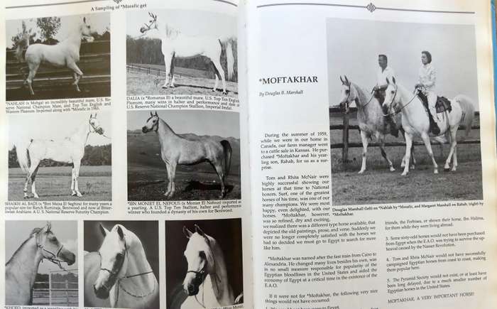Authentic Arabian Bloodstock: A Guide, Historical Articles, and Racing Records  by Judith Forbes