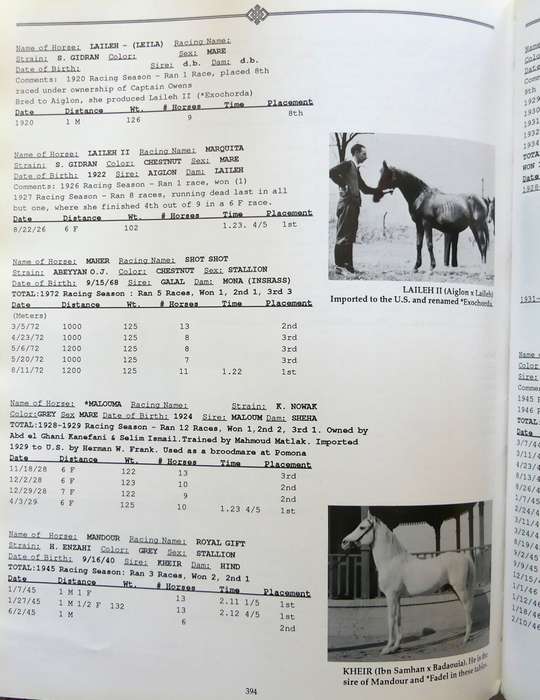 Authentic Arabian Bloodstock: A Guide, Historical Articles, and Racing Records  by Judith Forbes