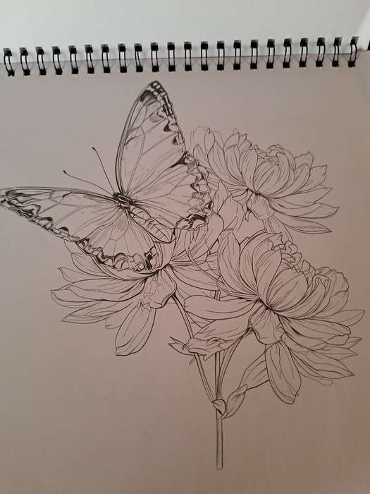 Colouring Book Flower Butterfly