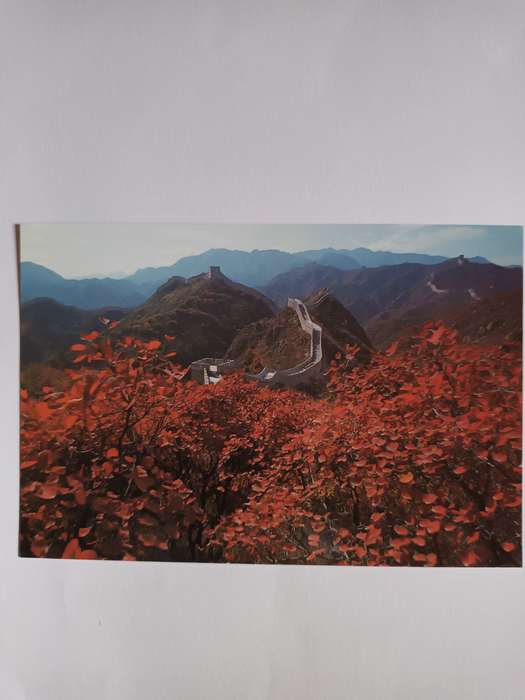Great Wall of China Postcard