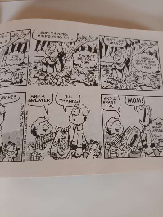 Garfield Special Edition 1978 - 1998