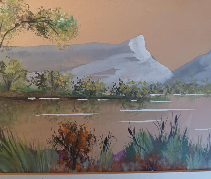 Framed Watercolour Painting of Zeekoe Vlei