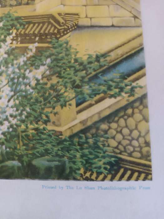 Vintage Framed Oriental Lithograph