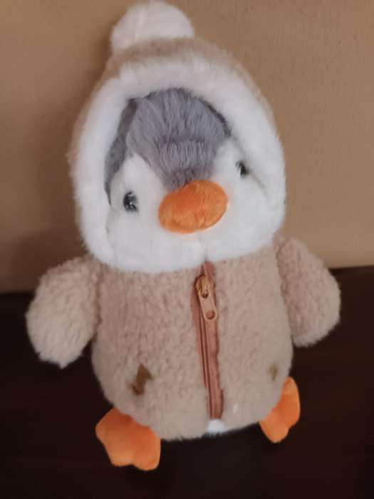Cute Penquin Soft Toy in Warm Clothing