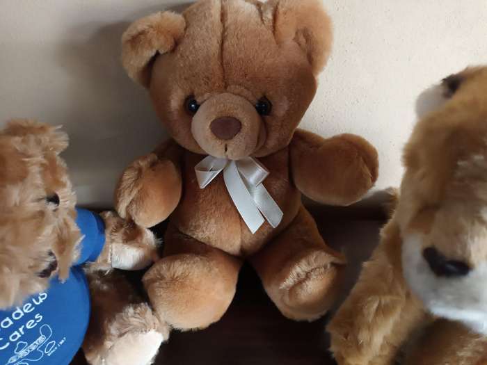 Trio of Quality Cuddly Soft Toys