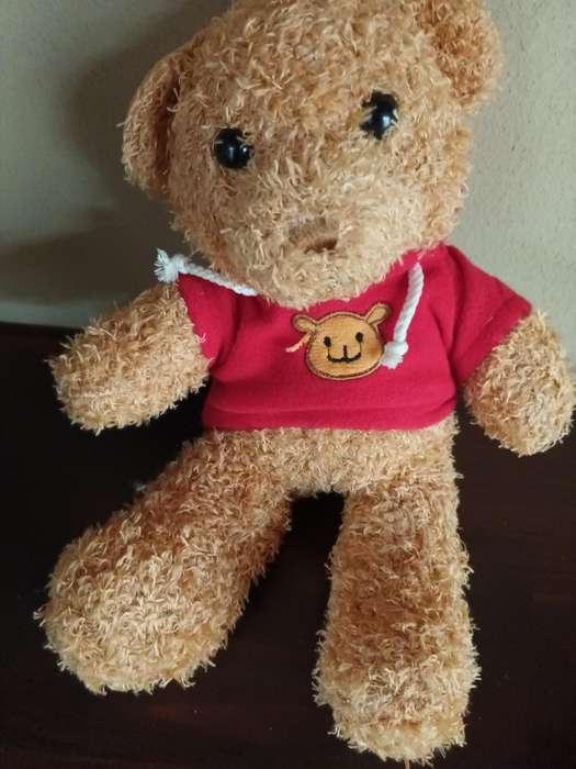 Teddy with Red Sweater