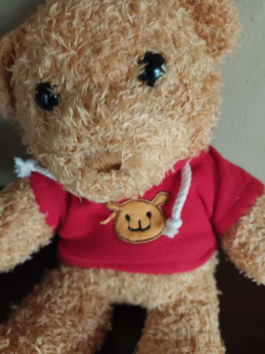 Teddy with Red Sweater