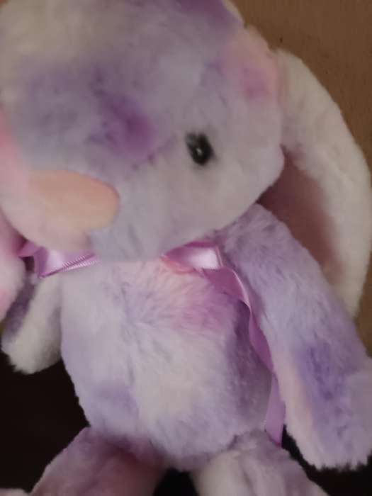 Multi Coloured Bunny Soft Toy
