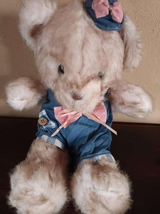 Adorable Teddy from Miammian Family