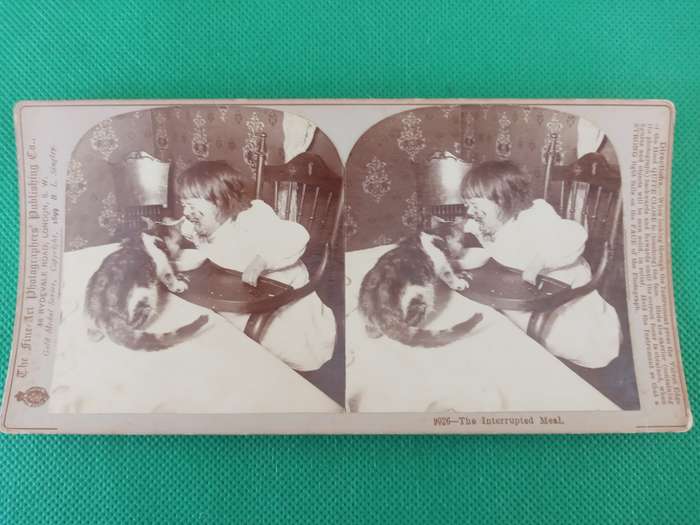 VICTORIAN STEREO SCOPE CARD