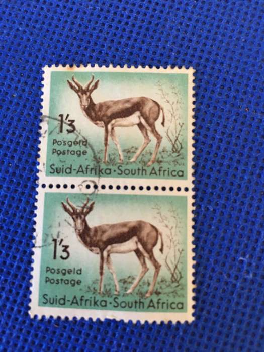 SOUTH AFRICA USED 1.3 SPRINGBOK PAIR OF POSTAGE STAMPS