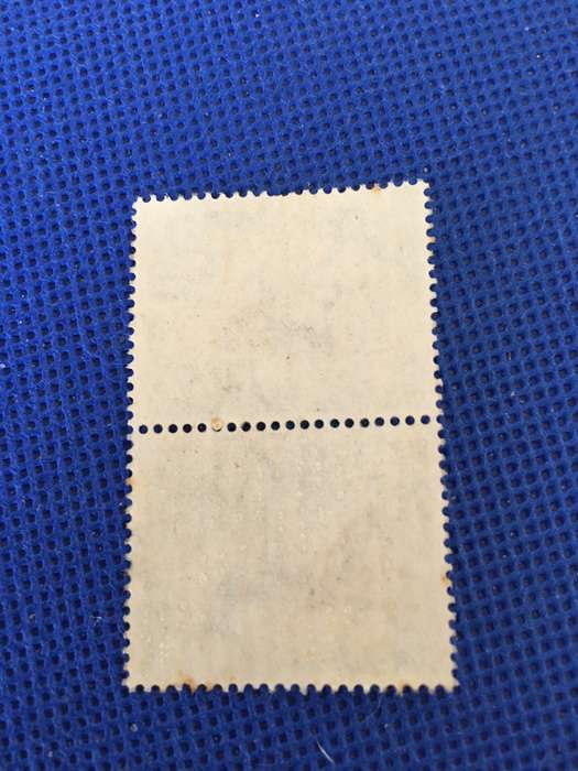 SOUTH AFRICA USED 1.3 SPRINGBOK PAIR OF POSTAGE STAMPS