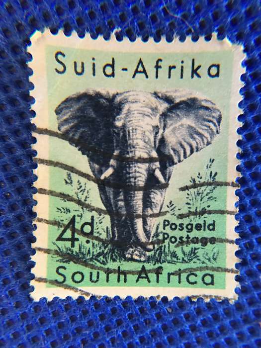 SOUTH AFRICA  USED 4D ELEPHANT STAMP