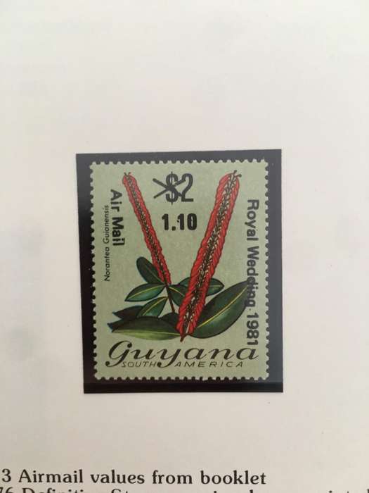 GUYANA  PARCEL POST  ROYAL WEDDING  BLACK OVER PRINTS
