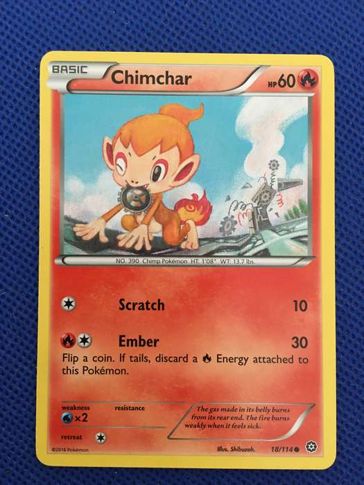 POKEMON TRADING CARD - CHIMCHAR
