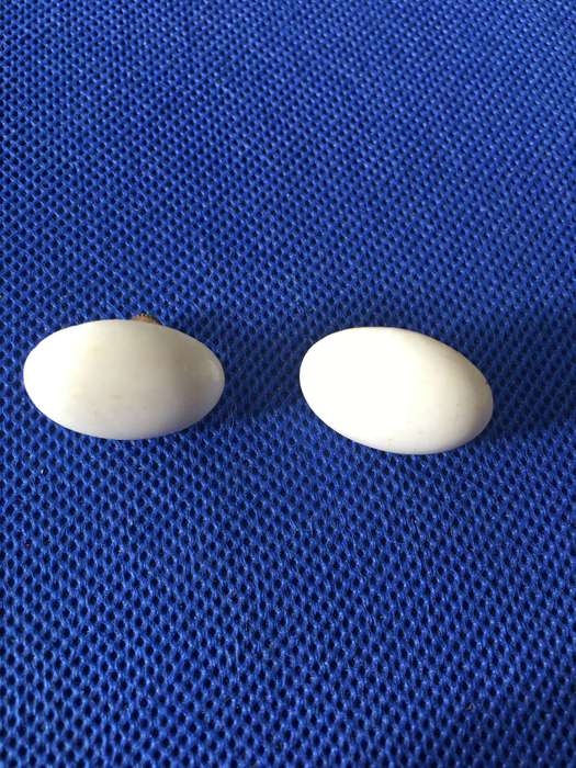 VINTAGE EARRINGS  SCREW ON