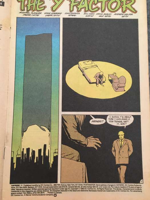DC COMICS  - HAYWIRE NO. 13 - 1989