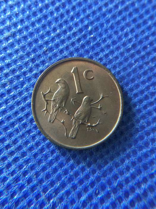 SOUTH AFRICA 1c COIN 1966 - AFRIKAANS JAN VAN RIEBEEK