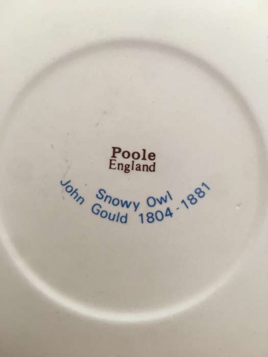 LOVELY VINTAGE PLATE  BY JOHN GOULD - SNOWY OWL - POOLE ENGLAND