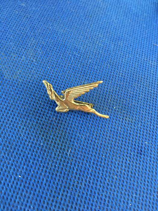 VINTAGE SOUTH AFRICAN AIRWAYS SPRINGBOK BADGE
