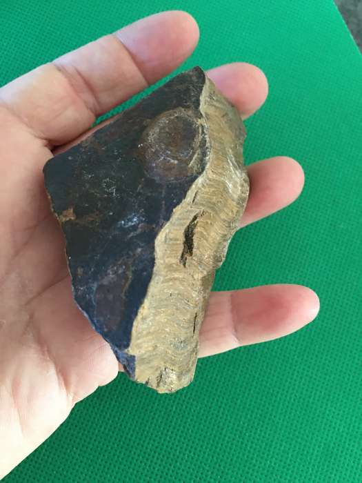 LOVELY LARGE ROUGH TIGER'S EYE