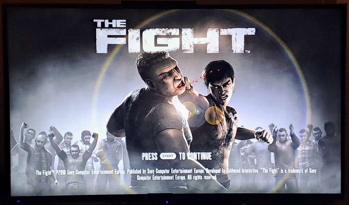 The Fight - Sony PlayStation 3 / PS3 Game (PS Move controllers required - Not included)