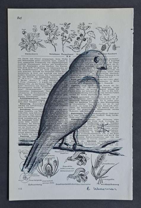 Fineliner Object Art Print on Vintage Dictionary Page (p112 - Bird) (240mm x 160mm)