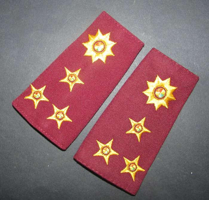 SA Army Medical Services Brigadier Slip on Ranks