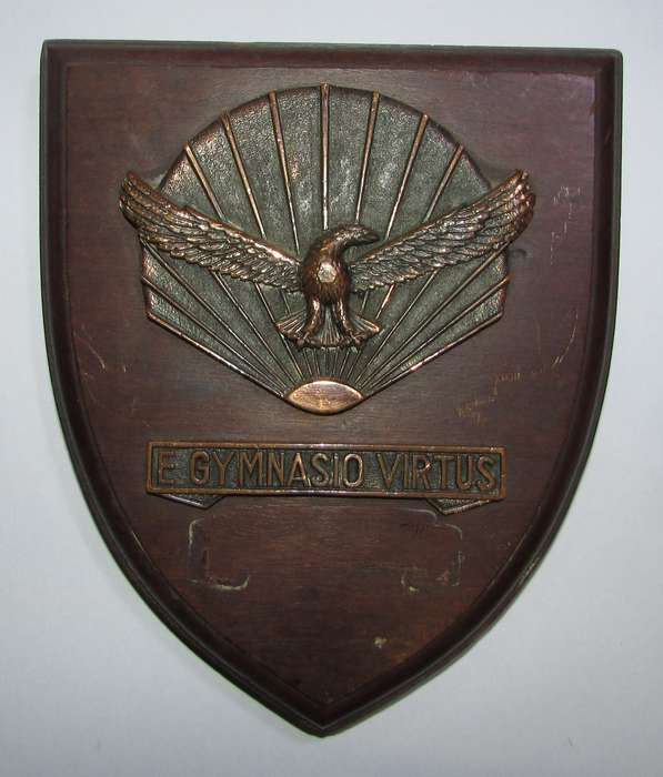 SADF - Air Force Plaque