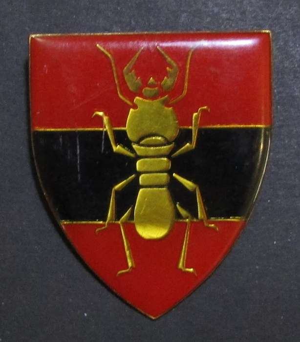 SADF - 81 Construction Shoulder Flash