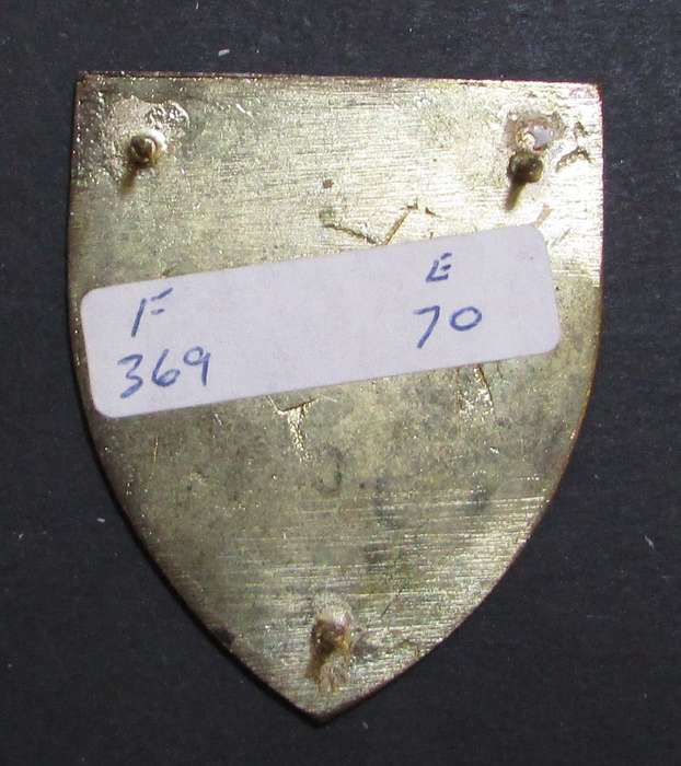 SADF - EP Command Provost Shoulder Flash