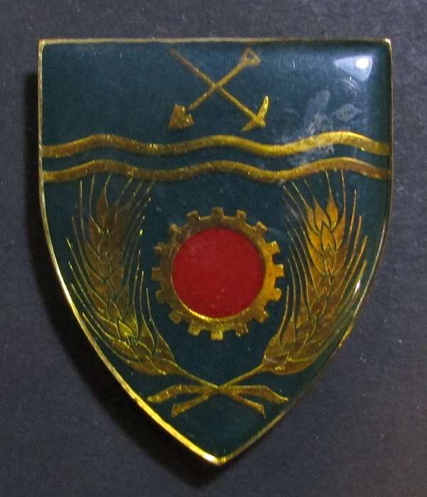 SADF - N/West Maintenance Shoulder Flash