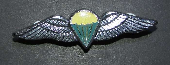 SADF - Dispatcher Parachute Wing