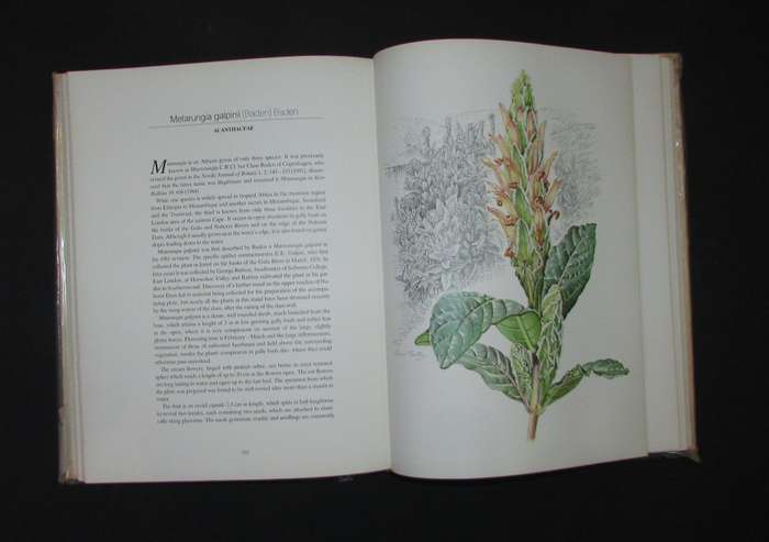 Flowers of Southern Africa Book by Auriol Batten ( Limited Numbered Edition )
