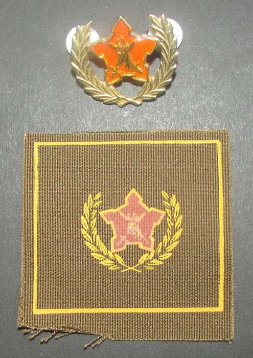 SADF - Army 5 Year Voluntary Service Breast Badge Set