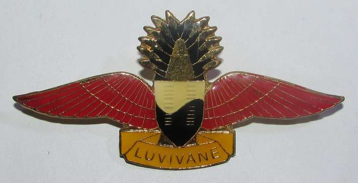 International - Swaziland Parachute Wing
