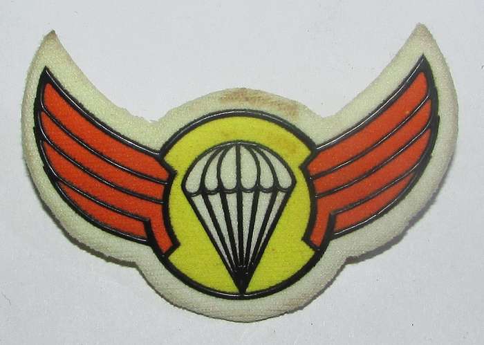 Homelands - Bophuthatswana Army Parachute Wings