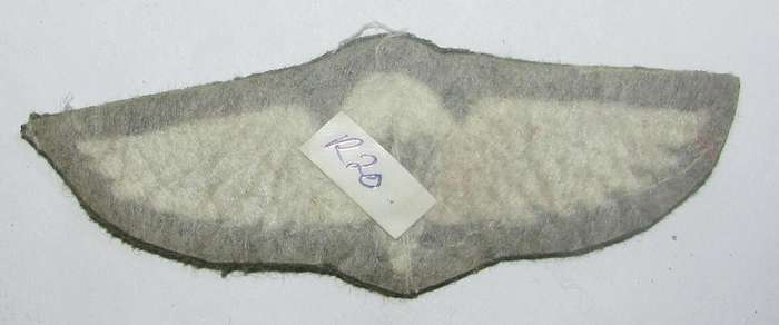 SADF - Ciskei Parachute Wing ( Possible Fake )