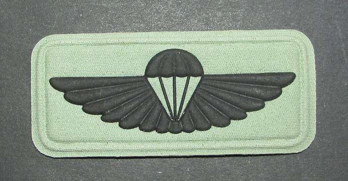 SADF - Air Supply Instructor Wing