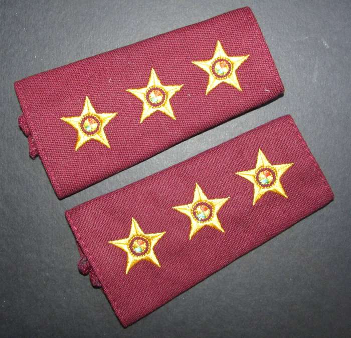 SADF - Medical Corps Captain Rank Pair